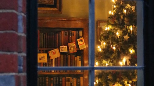 A view through a window to a warmly lit Christmas tree and a string of cards hooked up over a bookcase